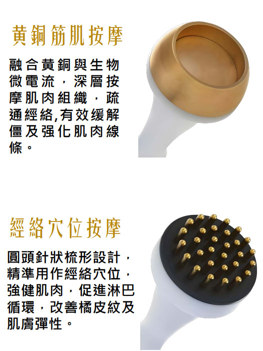 Detox Slim 多功能治療探頭
